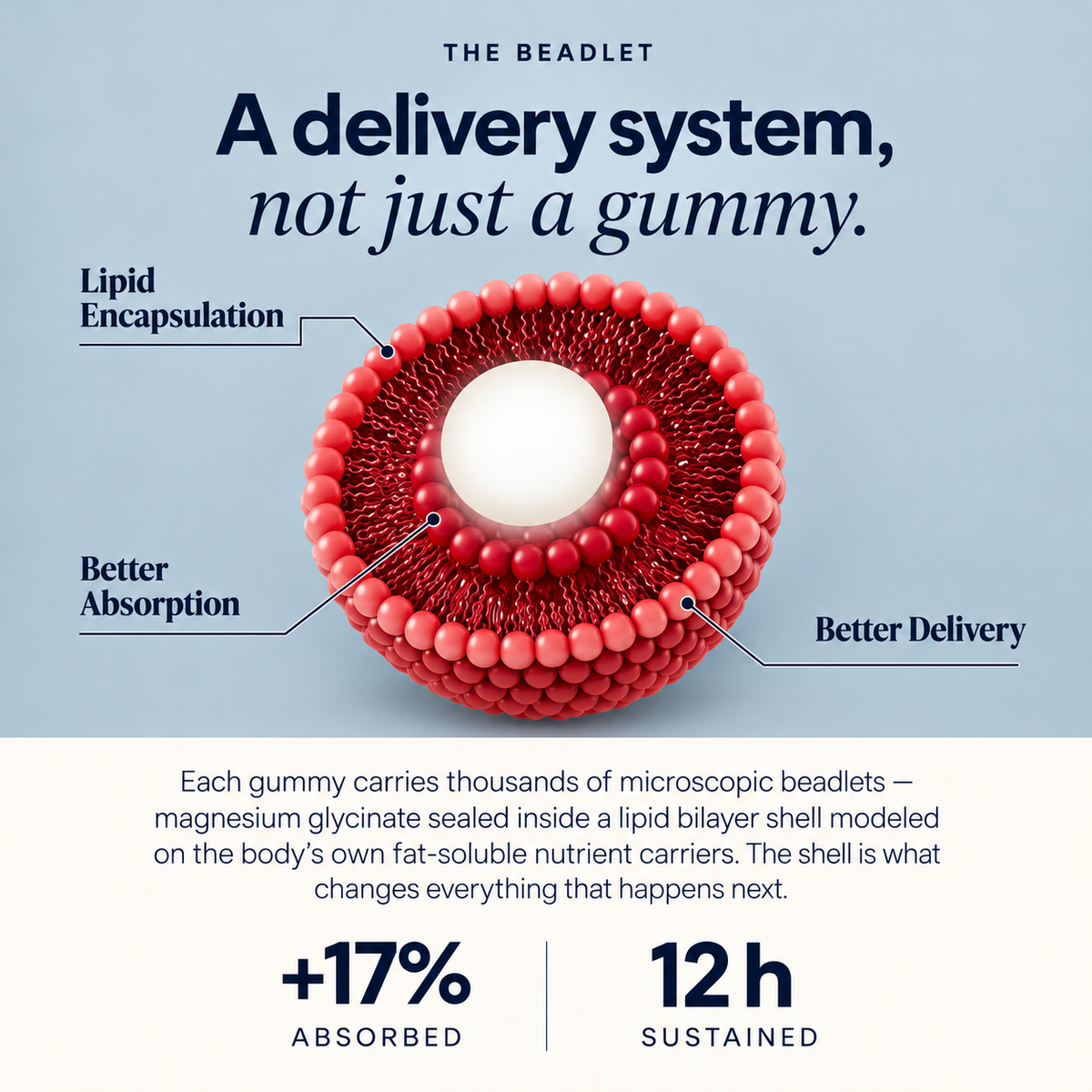 Liposomal Magnesium Bisglycinate + Ashwagandha Gummies