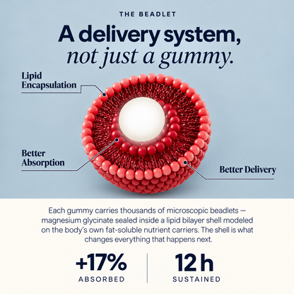 Liposomal Magnesium Bisglycinate + Ashwagandha Gummies